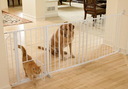 dog and cat at a pet gate