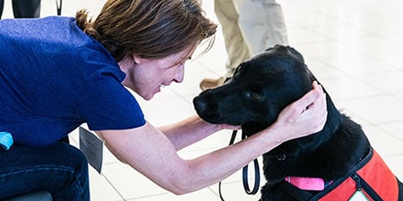 adopted service dog ember